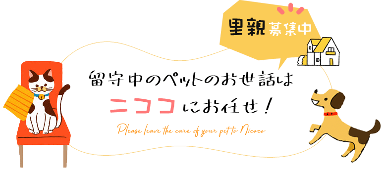 里親募集中 留守中のペットのお世話はニココにお任せ！ Please leave the care of your pet to Nicoco